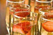 Champagne and Cocktails